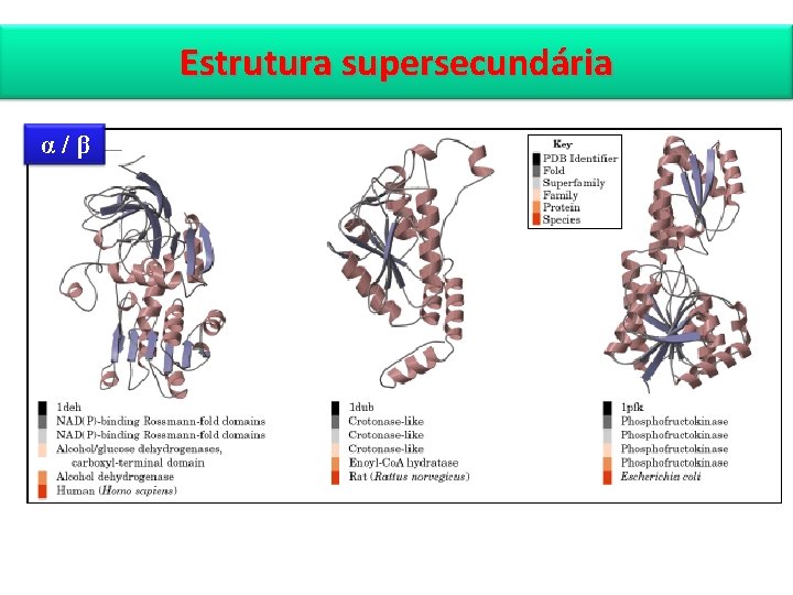 Estrutura supersecundária α/β 