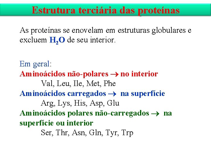 Estrutura terciária das proteínas As proteínas se enovelam em estruturas globulares e excluem H
