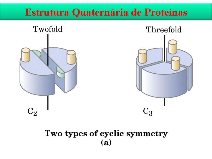 Estrutura Quaternária de Proteínas 