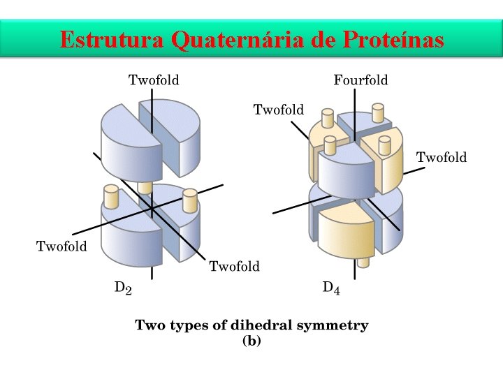 Estrutura Quaternária de Proteínas 