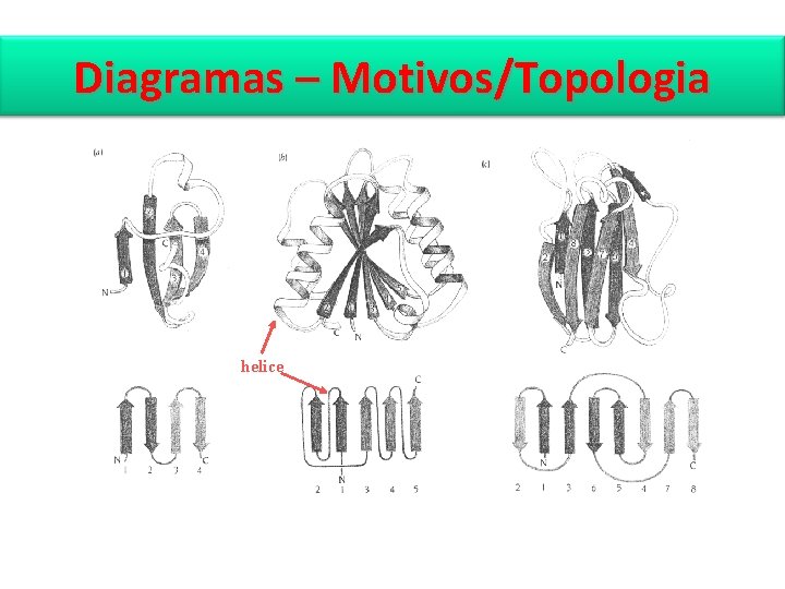 Diagramas – Motivos/Topologia helice 