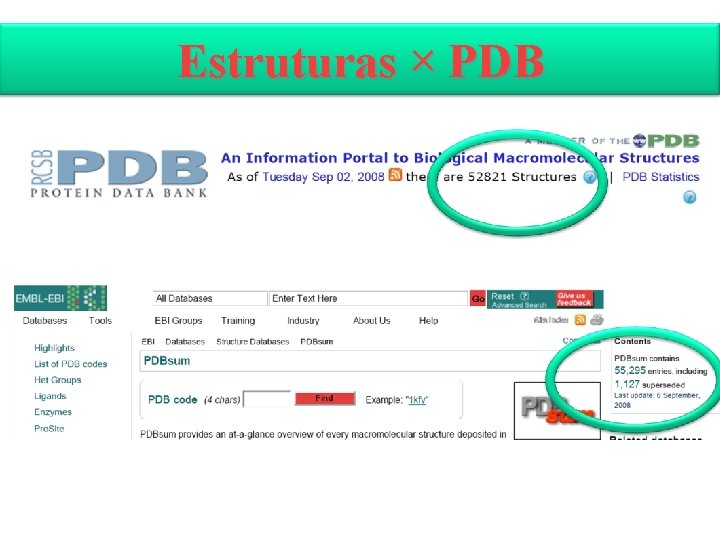 Estruturas × PDB 