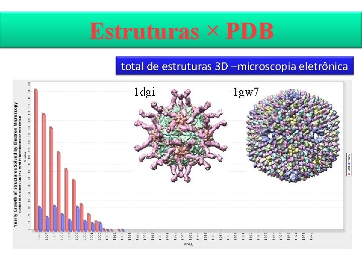 Estruturas × PDB total de estruturas 3 D –microscopia eletrônica 1 dgi 1 gw