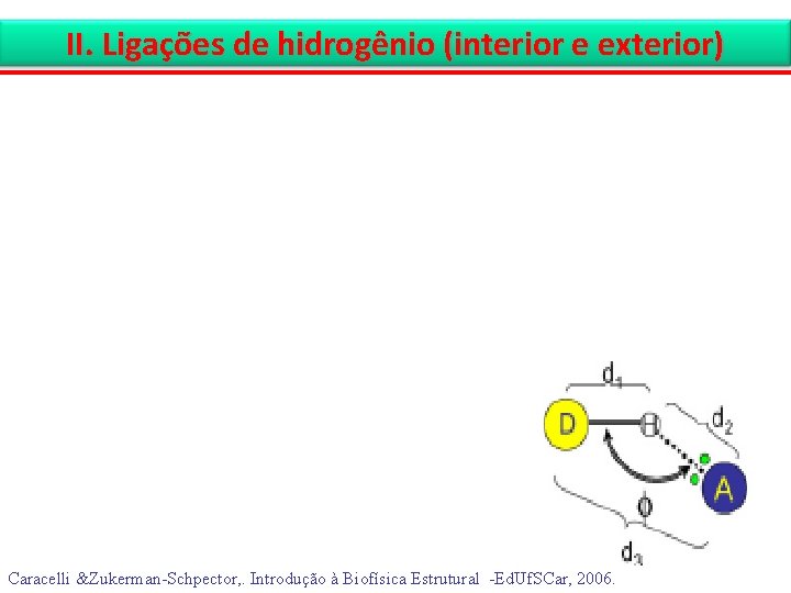 II. Ligações de hidrogênio (interior e exterior) Caracelli &Zukerman-Schpector, . Introdução à Biofísica Estrutural