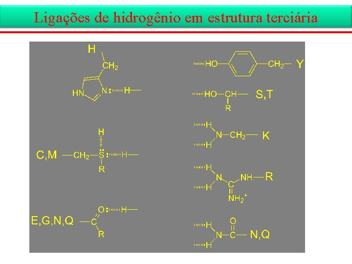 Ligações de hidrogênio em estrutura terciária 