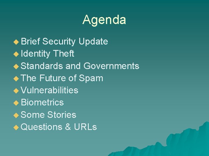 Agenda u Brief Security Update u Identity Theft u Standards and Governments u The