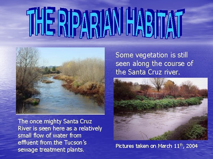 Some vegetation is still seen along the course of the Santa Cruz river. The