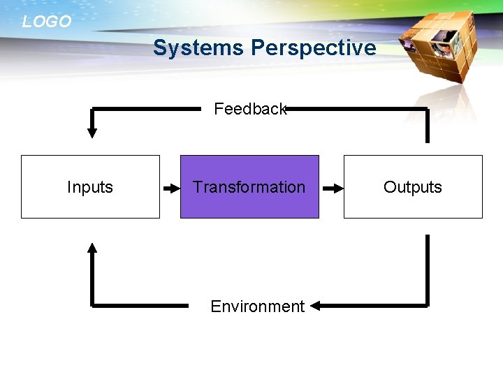 LOGO Systems Perspective Feedback Inputs Transformation Environment Outputs 