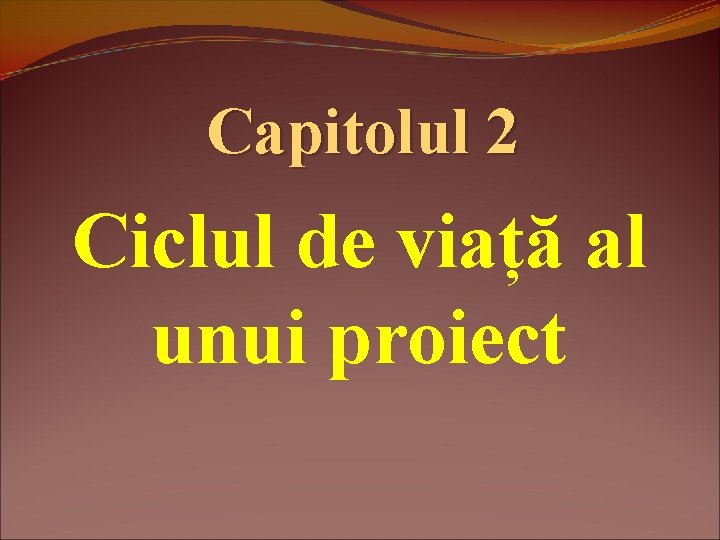 Capitolul 2 Ciclul de viață al unui proiect 