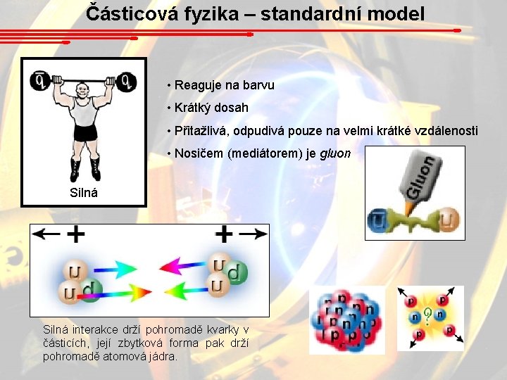 Částicová fyzika – standardní model • Reaguje na barvu • Krátký dosah • Přitažlivá,