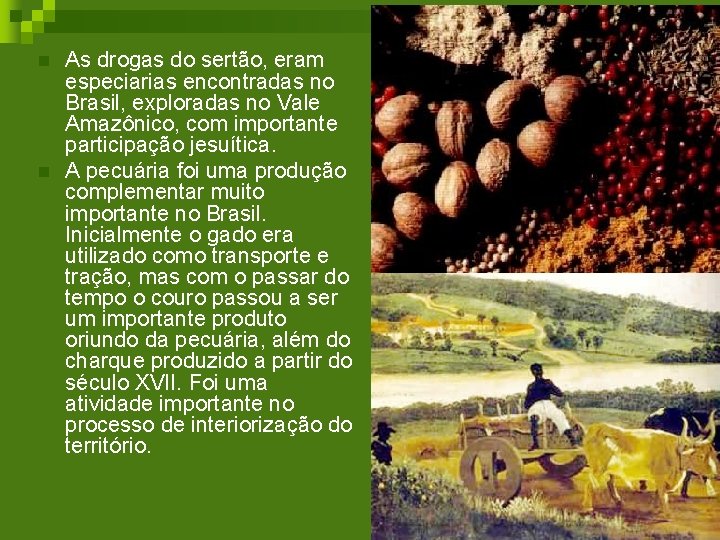 n n As drogas do sertão, eram especiarias encontradas no Brasil, exploradas no Vale