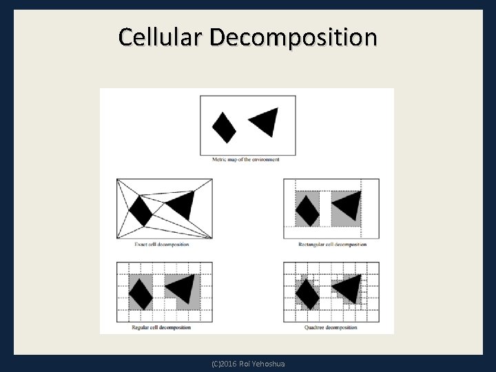 Cellular Decomposition (C)2016 Roi Yehoshua 