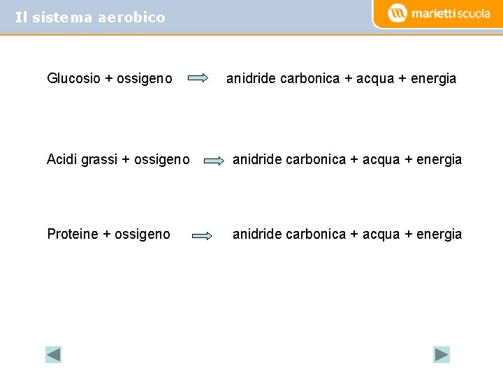 Il sistema aerobico Glucosio + ossigeno anidride carbonica + acqua + energia Acidi grassi