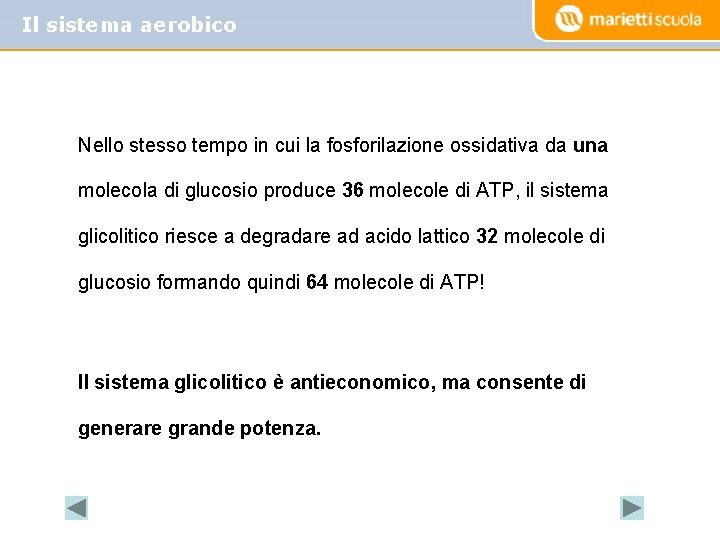 Il sistema aerobico Nello stesso tempo in cui la fosforilazione ossidativa da una molecola
