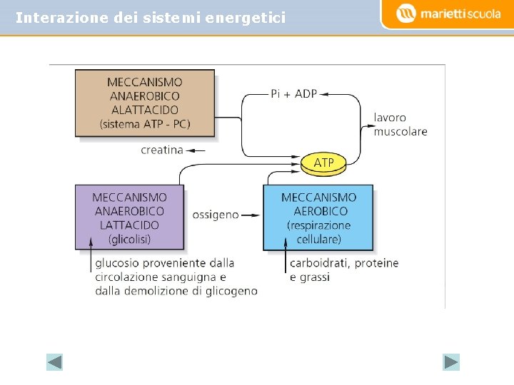 Interazione dei sistemi energetici 