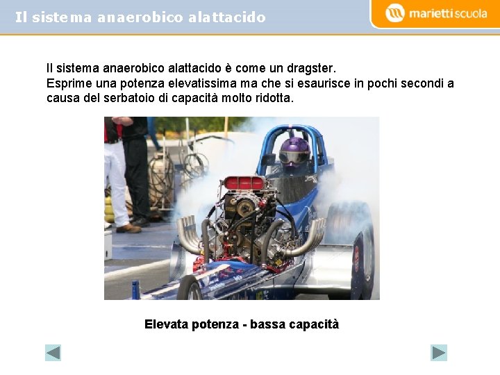 Il sistema anaerobico alattacido è come un dragster. Esprime una potenza elevatissima ma che