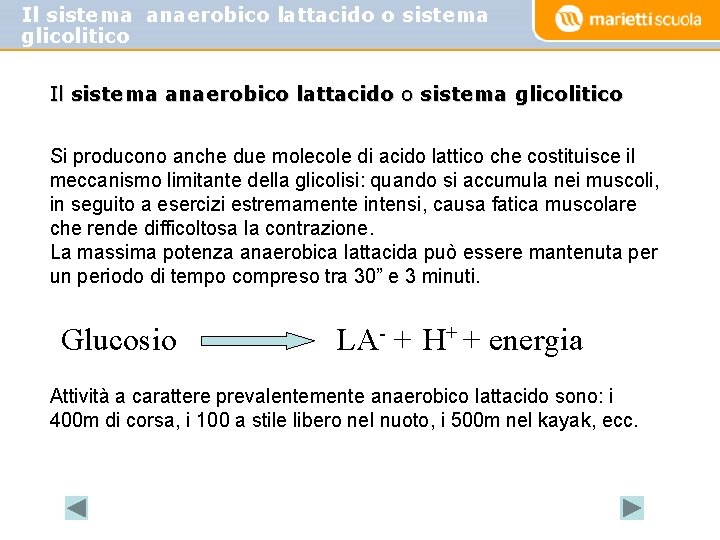 Il sistema anaerobico lattacido o sistema glicolitico Si producono anche due molecole di acido