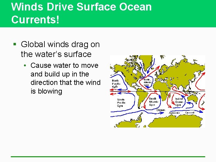 Winds Drive Surface Ocean Currents! § Global winds drag on the water’s surface •