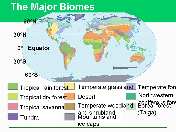 The Major Biomes 60°N 30°N 0° Equator 30°S 60°S Tropical rain forest Tropical dry