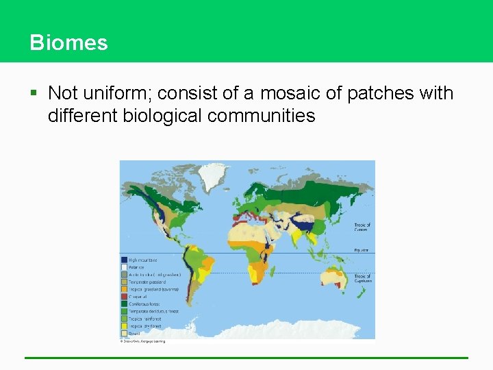 Biomes § Not uniform; consist of a mosaic of patches with different biological communities