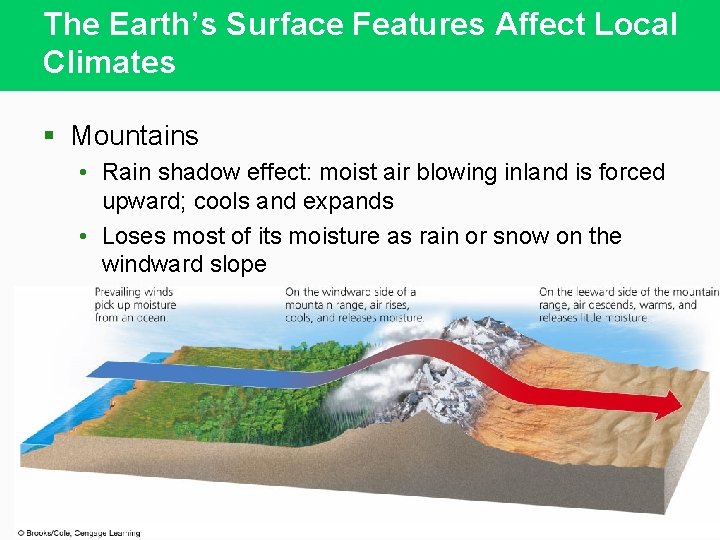 The Earth’s Surface Features Affect Local Climates § Mountains • Rain shadow effect: moist