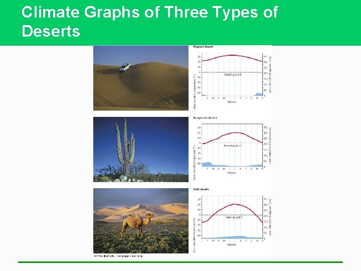 Climate Graphs of Three Types of Deserts 