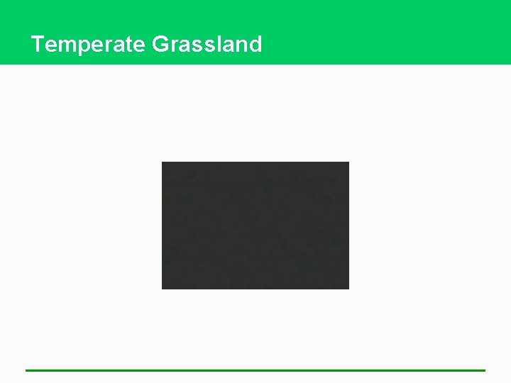 Temperate Grassland 