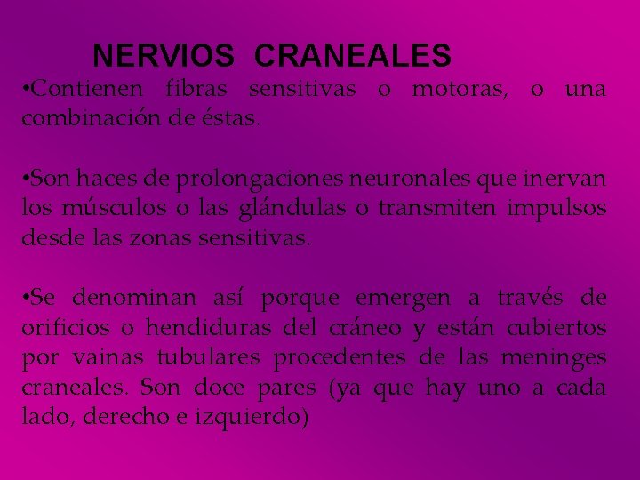 NERVIOS CRANEALES • Contienen fibras sensitivas o motoras, o una combinación de éstas. •