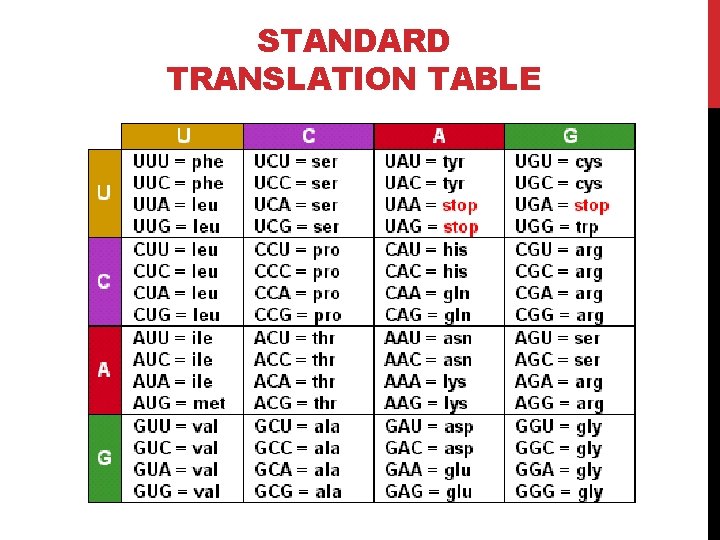 STANDARD TRANSLATION TABLE 