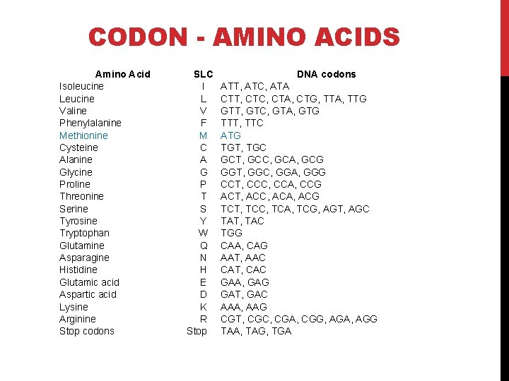 CODON - AMINO ACIDS Amino Acid Isoleucine Leucine Valine Phenylalanine Methionine Cysteine Alanine Glycine