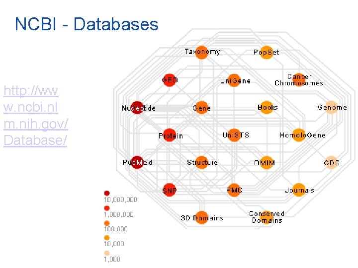 NCBI - Databases http: //ww w. ncbi. nl m. nih. gov/ Database/ 