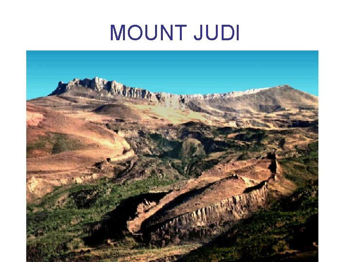 MOUNT JUDI 