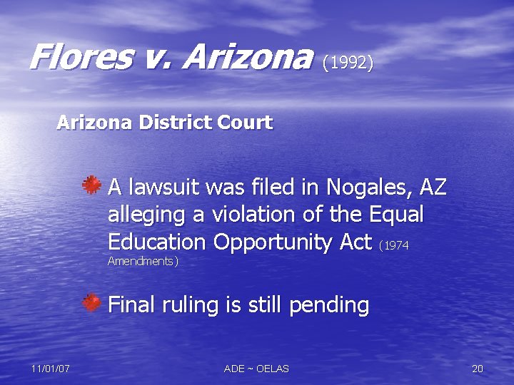 Flores v. Arizona (1992) Arizona District Court A lawsuit was filed in Nogales, AZ