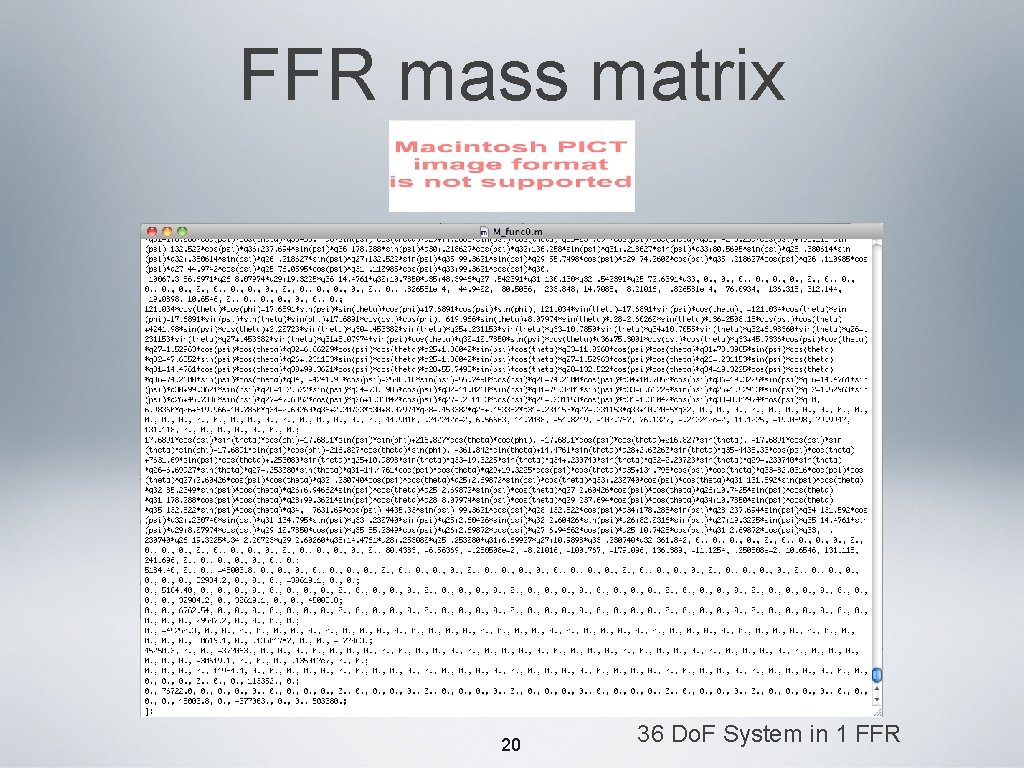 FFR mass matrix 20 36 Do. F System in 1 FFR 