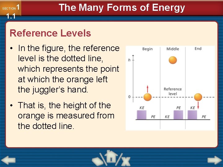 1 1. 1 SECTION The Many Forms of Energy Reference Levels • In the