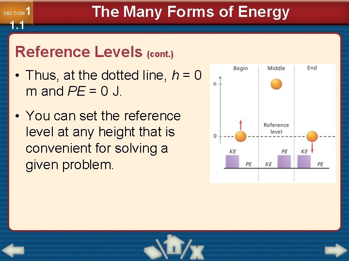 1 1. 1 SECTION The Many Forms of Energy Reference Levels (cont. ) •