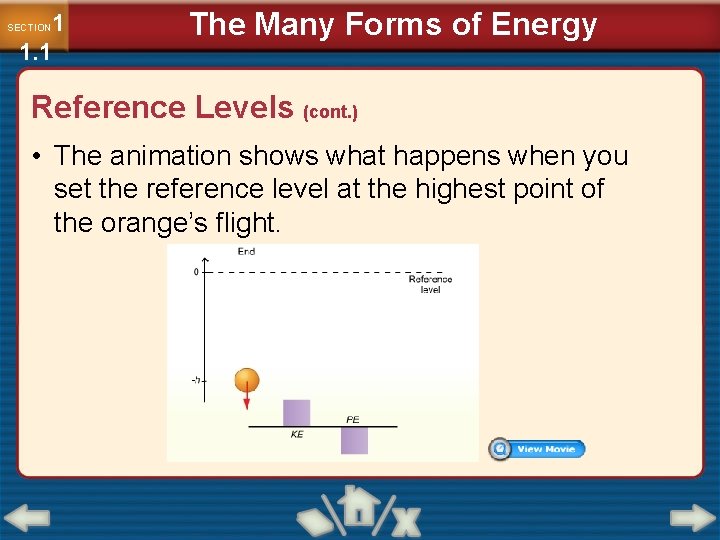 1 1. 1 SECTION The Many Forms of Energy Reference Levels (cont. ) •