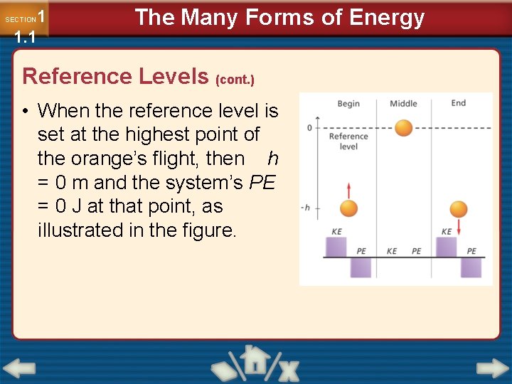 1 1. 1 SECTION The Many Forms of Energy Reference Levels (cont. ) •