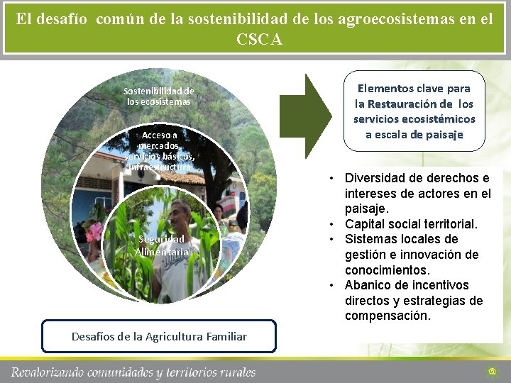 El desafío común de la sostenibilidad de los agroecosistemas en el CSCA Sostenibilidad de