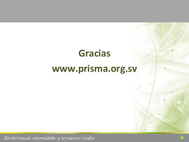 Gracias www. prisma. org. sv 