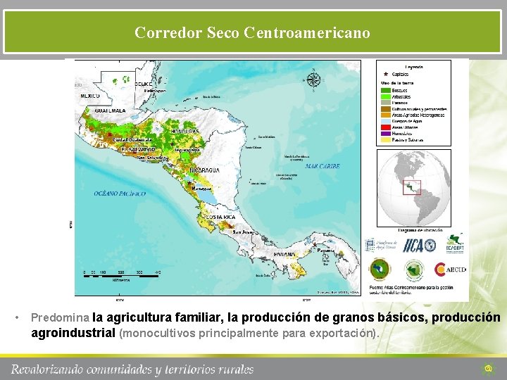 Corredor Seco Centroamericano • Predomina la agricultura familiar, la producción de granos básicos, producción