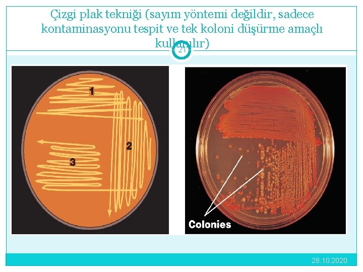 Çizgi plak tekniği (sayım yöntemi değildir, sadece kontaminasyonu tespit ve tek koloni düşürme amaçlı