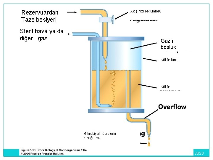 Akış hızı regülatörü Rezervuardan Taze besiyeri Steril hava ya da diğer gaz Gazlı boşluk