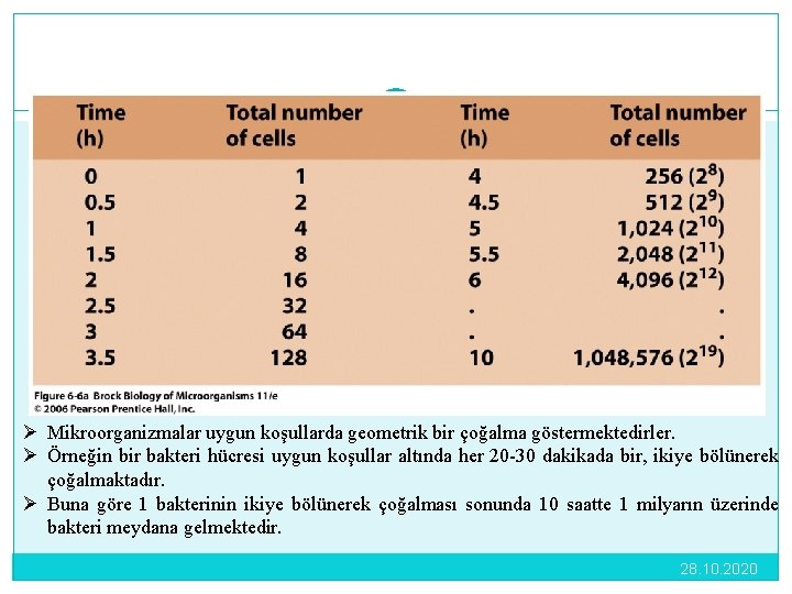 7 Ø Mikroorganizmalar uygun koşullarda geometrik bir çoğalma göstermektedirler. Ø Örneğin bir bakteri hücresi