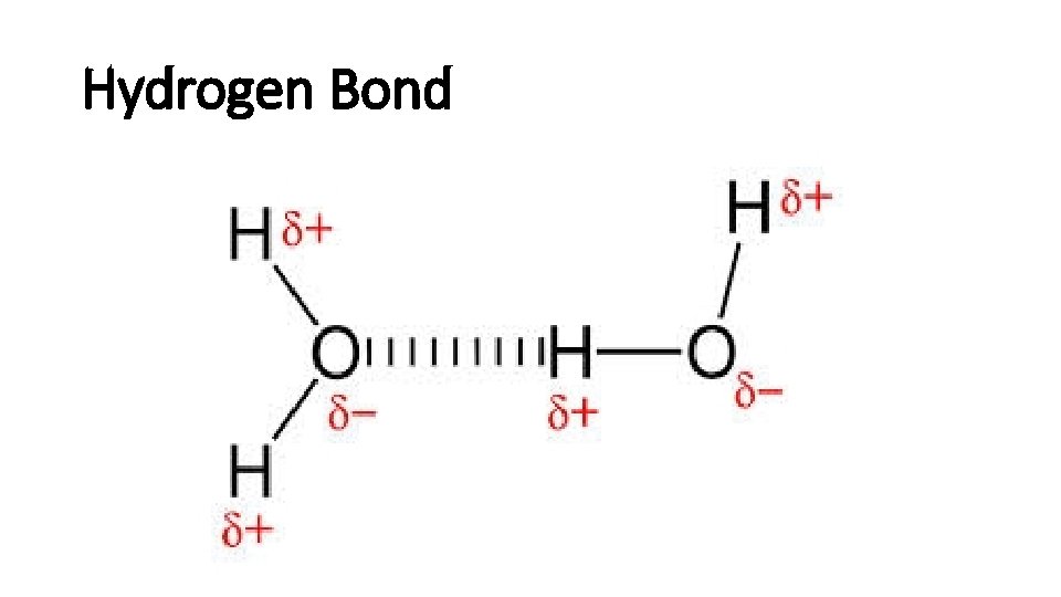 Hydrogen Bond 