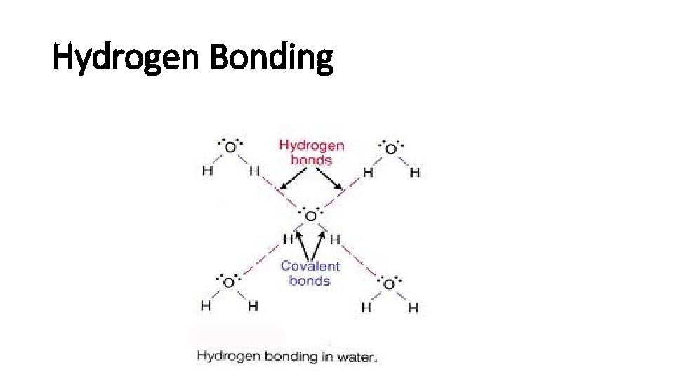 Hydrogen Bonding 