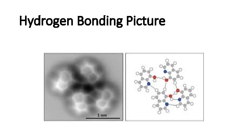 Hydrogen Bonding Picture 