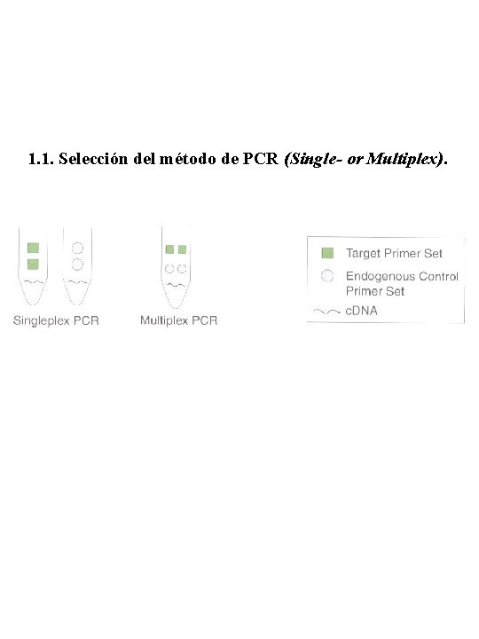 1. 1. Selección del método de PCR (Single- or Multiplex). 