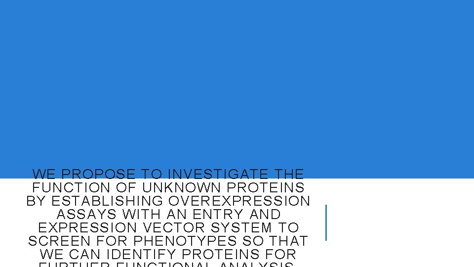 WE PROPOSE TO INVESTIGATE THE FUNCTION OF UNKNOWN PROTEINS BY ESTABLISHING OVEREXPRESSION ASSAYS WITH