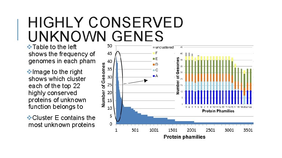 HIGHLY CONSERVED UNKNOWN GENES v. Table to the left shows the frequency of genomes